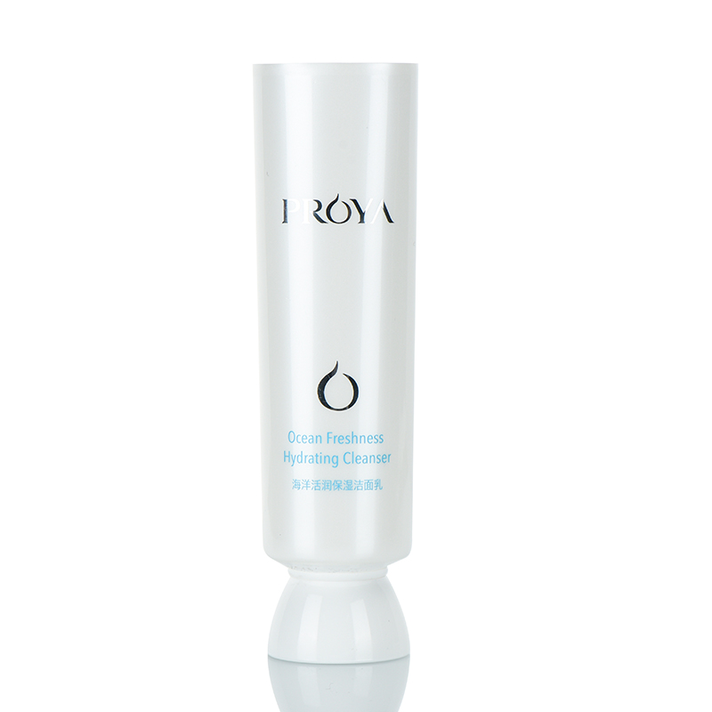 Wholesale Custom 100ml Plastic Face Wash Clean Cream Cosmetic Empty Packaging Cream Tube with Screw 